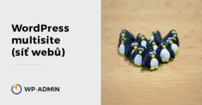 WordPress multisite síť webů, ilustrační obrázek malí tučňáci z plastelíny