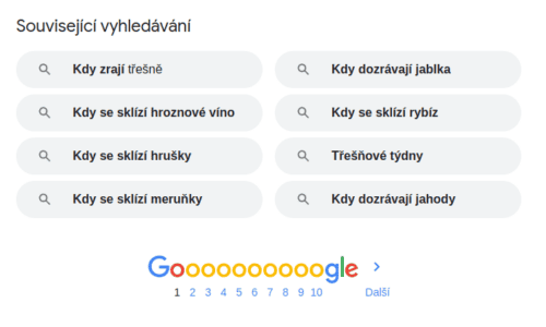 Co se hledá v Googlu