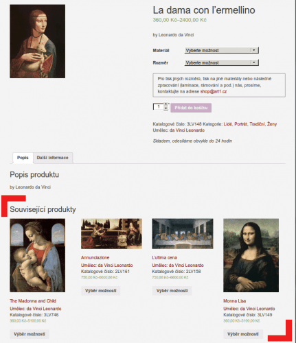 Vylepšený e-shop s obrazy 3 souvisejici_produkty