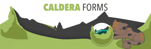 Skvělý plugin Caldera Forms pro tvorbu formulářů!