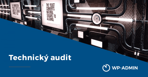 technicky audit webu