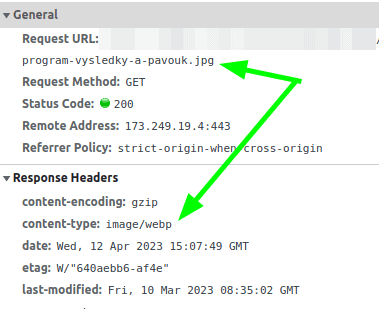 Optimalizace obrázků pro web 4 Obrázek má příponu jpg, ale je to webp