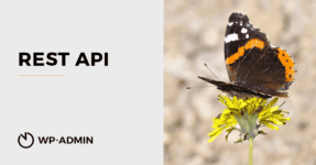REST API
