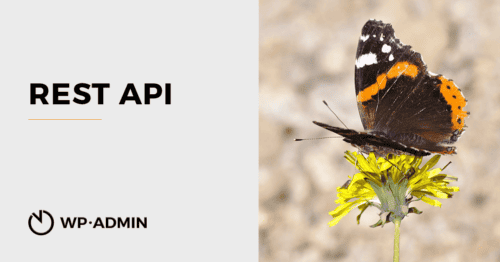 WordPress REST API – jak začít