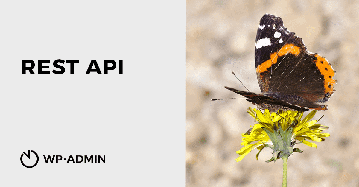 WordPress REST API – jak začít