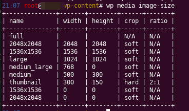 WP-CLI 4 Velikosti obrázků