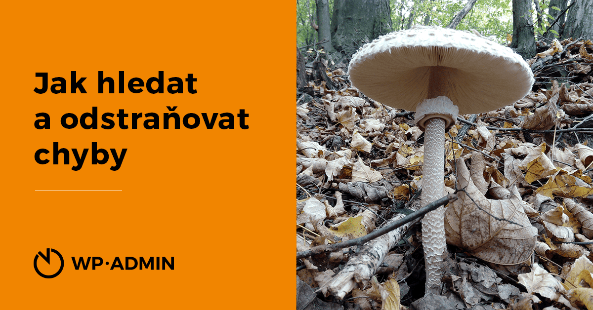 Jak hledat a odstraňovat chyby