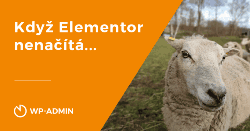 Aktualizace Elementoru: Když se pak editor nenačte