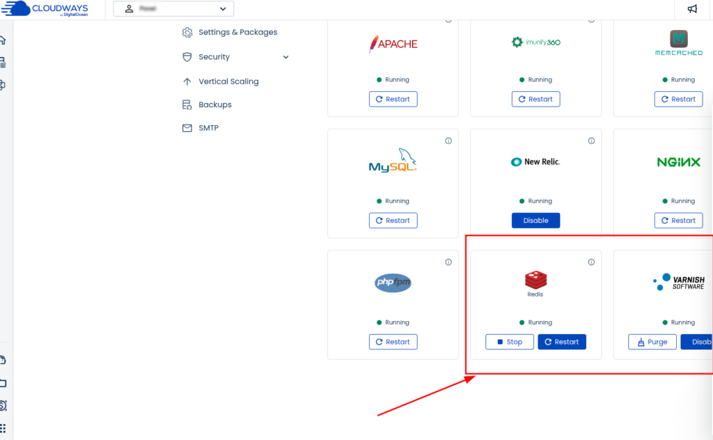přehled služeb serveru v Cloudways po zásahu, Redis a Varnish běží