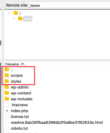FTP pohled na kořen webu s podezřelými složkami scripts a styles