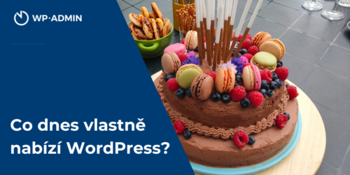 co nabizi wordpress, dort